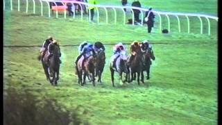 1989 Bic Razor Lanzarote Handicap Hurdle [upl. by Ennaxxor947]