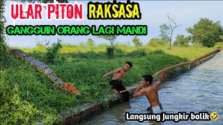 Video Lucu  Prank Ular Piton Raksasa Terlucu  Paling Laknat prank viralsnakeprankongirls [upl. by Tonry]