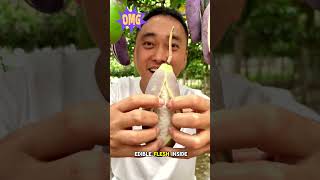 Akebia Quinata fruit Chocolate vine shorts youtubeshorts fruit [upl. by Nyasuh]