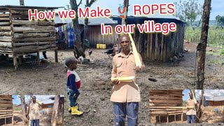 ⚠️ MYSTERY OF SISAL ROPES 🌿 Village Secrets You Won’t Believe 🤯 [upl. by Hazelton227]