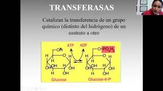 Clasificación de las enzimas [upl. by Noval]