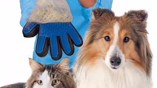 TRUE TOUCH REVIEW du Gant de toilettage pour chat ou chien [upl. by Kai]