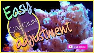 How I mix my aquaforest calcium solution [upl. by Annayd858]