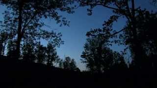 Eastern Whippoorwill calling at dusk [upl. by Milak]