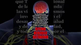 Señales que proporcionan información sobre el estado de los órganos y la respuesta del cuerpo [upl. by Quarta]