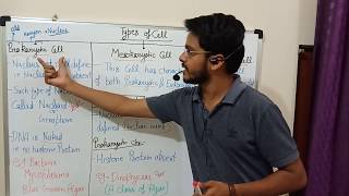 Types of cell  Prokaryotic  Mesokaryotic amp Eukaryotic English Medium [upl. by Irollam]