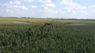 2013 Corn Fungicide  Stewart Farms [upl. by Creighton]