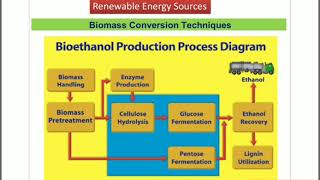 Biomass Energy Conversion Methods in Hindi [upl. by Akinwahs]