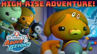 Octonauts Above amp Beyond  Dashis HighRise Adventure ⛅✈️  Compilation  Kidzuko [upl. by Airbmak]