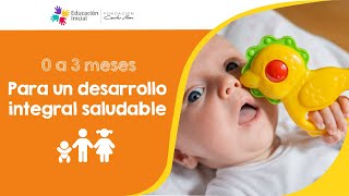 Para un desarrollo integral y saludable 0 a 3 meses [upl. by Namijneb]