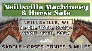 Sale of Ponies Riding Horse  2024 Spring Machinery amp Horse Sale [upl. by Harihat]