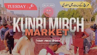 29102024 tuesday  KUNRI MIRCH🌶️ MARKET TODAY priceupdates wholesalemarket kunri TREND📈 DOWN 😭 [upl. by Garvey872]