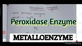 Peroxidase Enzyme metalloenzyme bioinorganic chemistry notes MSc amp BSC notes [upl. by Ihtac]