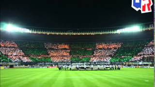 Hooligan Song Rapid Wien Fansong [upl. by Yarezed]