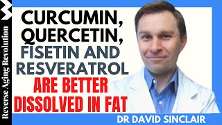 Curcumin Quercetin Fisetin amp Resveratrol Are Better Dissolved In Fat  Dr David Sinclair Int Clips [upl. by Maril913]