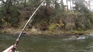 Fishing for Coho Salmon on bobber and eggs using ClearDrift Floats and Pautzke Borax of fire eggs [upl. by Firestone]