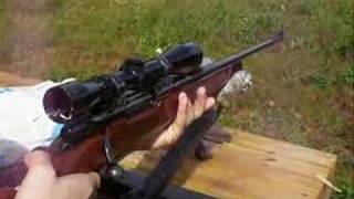 The 300 weatherby magnum in action [upl. by Aserat]