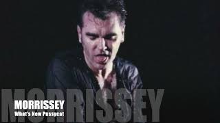 Morrissey  Whats New Pussycat Burt Bacharach Cover  A cappella 2022 LIVE [upl. by Wrdna]