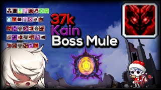 Maplestory Reboot 37k Kain Boss Mule  6th Job Edition  2b Mesos in 40min [upl. by Angelia62]