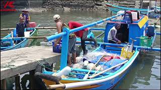 AKTIFITAS BONGKAR NELAYAN TPI TEGAL KATILAYU CILACAP [upl. by Nuahsel]