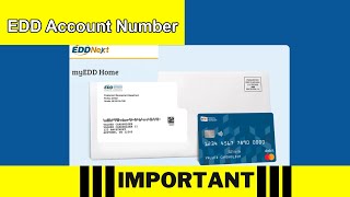 California EDD How to Find Your Employer Account Number EAN Fast [upl. by Suirauqed942]