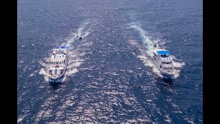 MV Pawara and MV Sawasdee Fasai at Similan Islands with West Coast Divers [upl. by Nwahsit414]