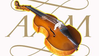 An Introduction to the Viola damore [upl. by Island]