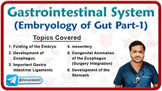 Embryology of Gastrointestinal system  Development of Foregut Part  1 [upl. by Rossi129]