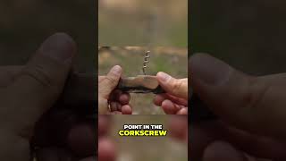 Unlocking the Secrets of the Swiss Army Knife Corkscrew [upl. by Hibbert299]