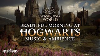 Beautiful Morning at Hogwarts  Harry Potter Music amp Ambience Reading with Hermione Granger [upl. by Wainwright]