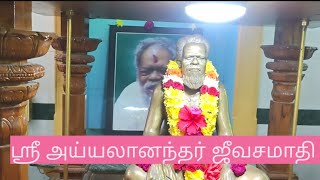 ஸ்ரீ அயாலனந்தர் சித்தர் ஜீவசமாதி செவ்வாய் அபிஷேகம் பூஜை BSS Kovil Street Vellore [upl. by Jabon522]