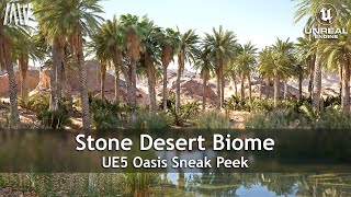 Unreal Engine 5  MAWI  Realistic Stone Desert Oasis unrealengine UE5 gamedev [upl. by Alrzc]