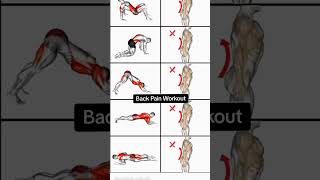 Back pain amp Body potion Workout at Home💪✅️motivation gymlover bodyworkout gymviralvideo back [upl. by Sirac896]