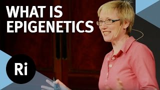 What is Epigenetics  with Nessa Carey [upl. by Ettenav]