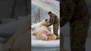 A soldier rescues a trapped pregnant polar bear enabling her to safely give birth polarbear [upl. by Riker]