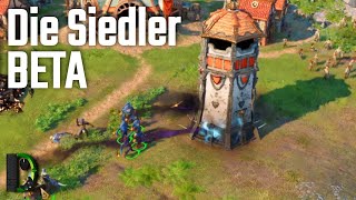 Die Siedler Beta 2022 mit Volcaniced [upl. by Ttirb309]