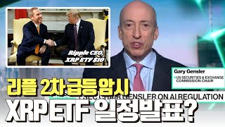 리플 ETF 승인 유력 일정 발표 XRP [upl. by Kenrick]