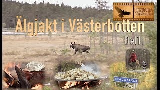 Moosehunt  Älgjakt i Västerbotten Del 1 [upl. by Dareg704]