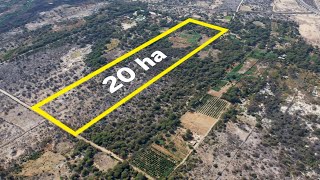 PRIVADO  Terreno 20 ha en Piura  200724  Drone Piura Perú 4K [upl. by Eluj222]