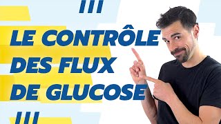 COURS DE TERMINALE SPÉCIALITÉ SVT CHAP18 LE CONTRÔLE DES FLUX DE GLUCOSE Bio Logique [upl. by Ladin]