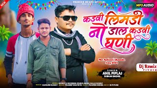 🌿कड़वी लिमड़ी नो डाल कड़वी घ‌णी Anil Piplaj Adivasi Dj remix song 2024  Subhan baghel [upl. by Josey883]