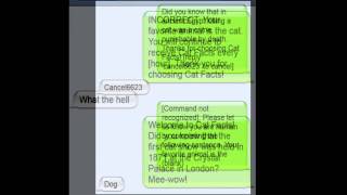 Cat Facts  Funniest Text Prank Ever [upl. by Drolet]