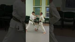 Nijushiho kata effective bunkai nr 8 shorts [upl. by Eirod370]