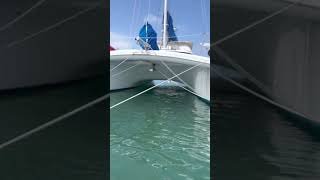 Manta 46 Catamaran For Sale By Owner quotSV Ruatahiquot  At Anchor [upl. by Nowed820]