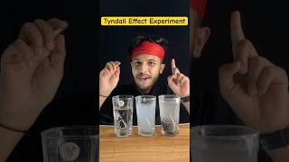 Tyndall Effect Experiment Scattering of Light 🔦Experiment class10scienceshortsexperiment [upl. by Lewellen]