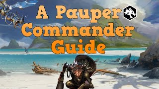 The Simple Guide For Pauper Commander [upl. by Ahsil]