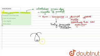 During zoospore formation Chlamydomonas  12  KINGDOM PLANTAE OR METAPHYTA  BIOLOGY  DINESH [upl. by Ittam254]