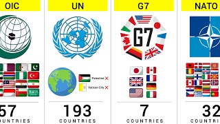 How Many Countries Share the Same Alliance Group [upl. by Ahsauqram]