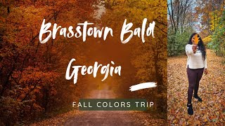 Stunning Georgia Fall Colors A Scenic Autumn Drive Through Natures Best BRASSTOWN BALD MUST VISIT [upl. by Chance]