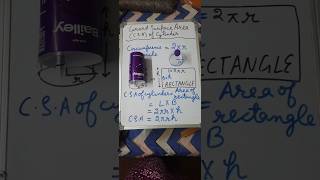 Maths activity on curved surface area of cylinder [upl. by Naek]